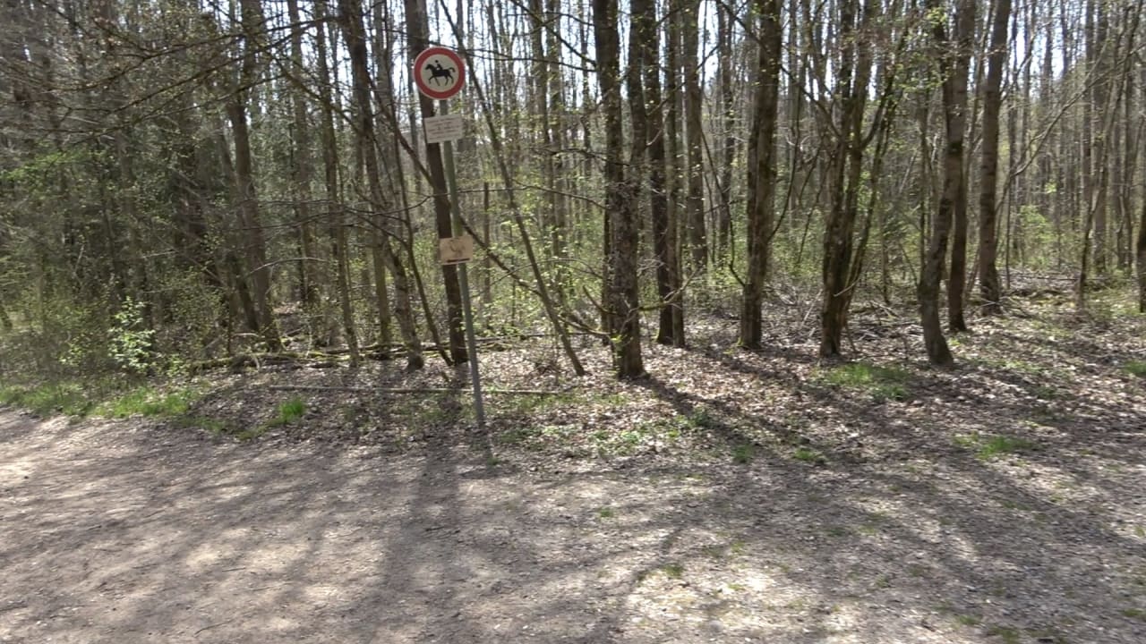 Sonstiges Baumhaushotel OaseWeil