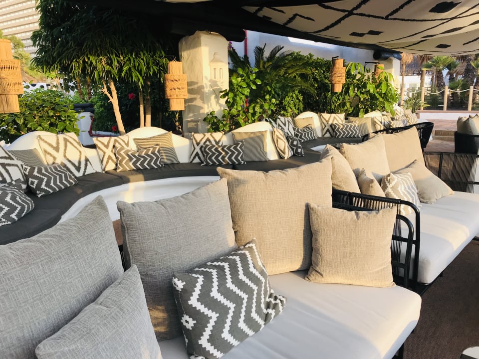 Gartenanlage Dreams Jardín Tropical