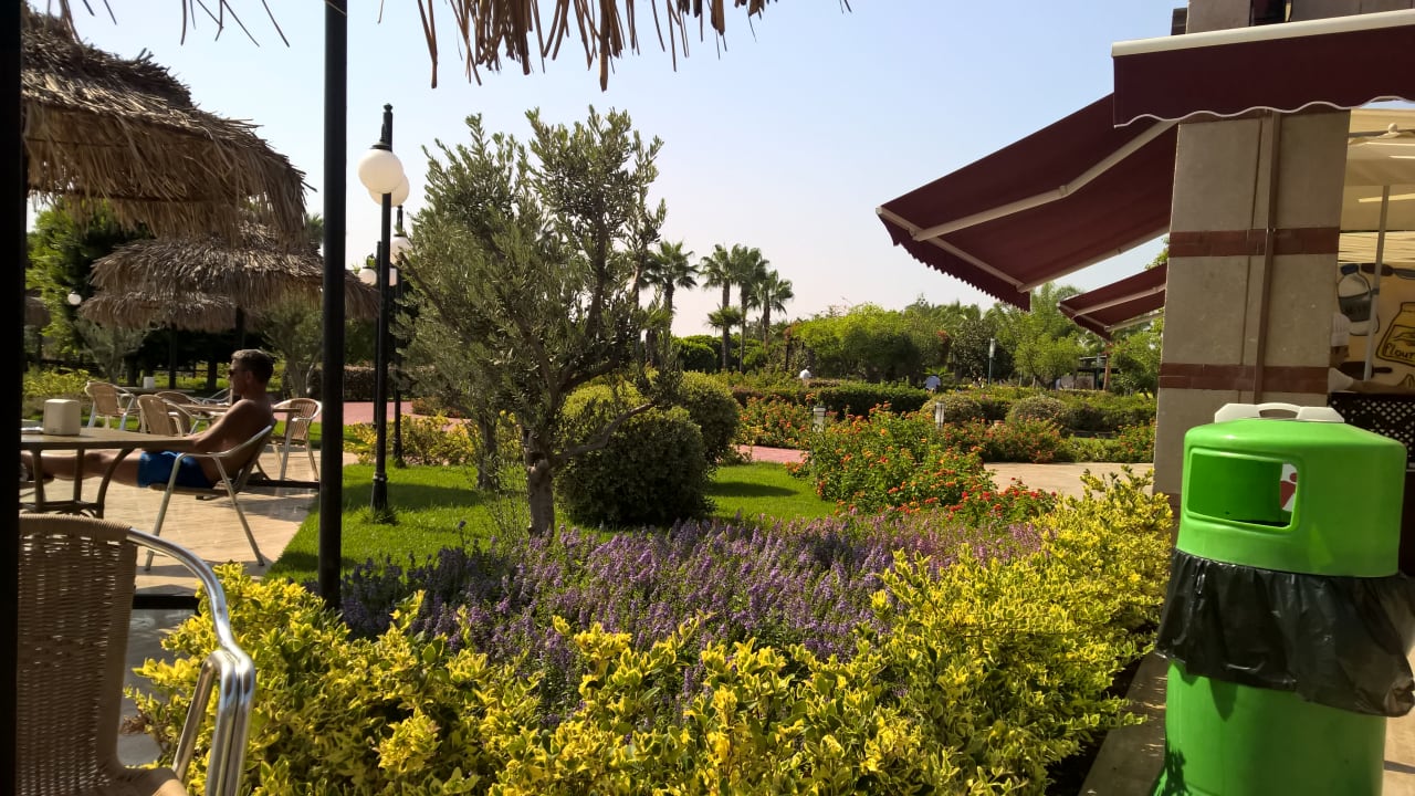 Gartenanlage Hotel Miracle Resort