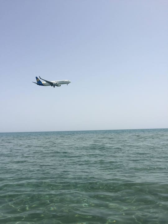 Morze Hotel Flamingo Beach