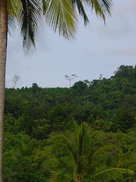 Khao Lak Laguna Resort Khaolak Laguna Resort