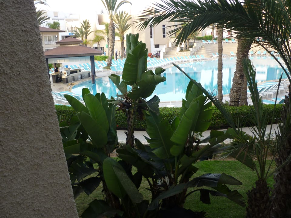 Ausblick Dunes D'or Ocean Club