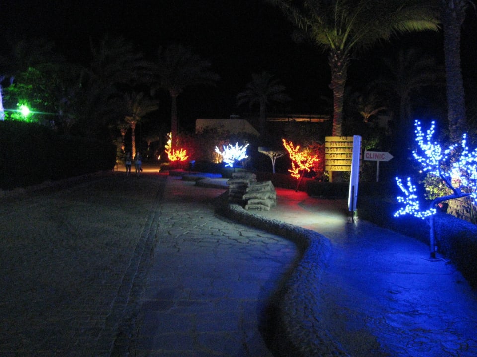 Во дворе Seagull Beach Resort