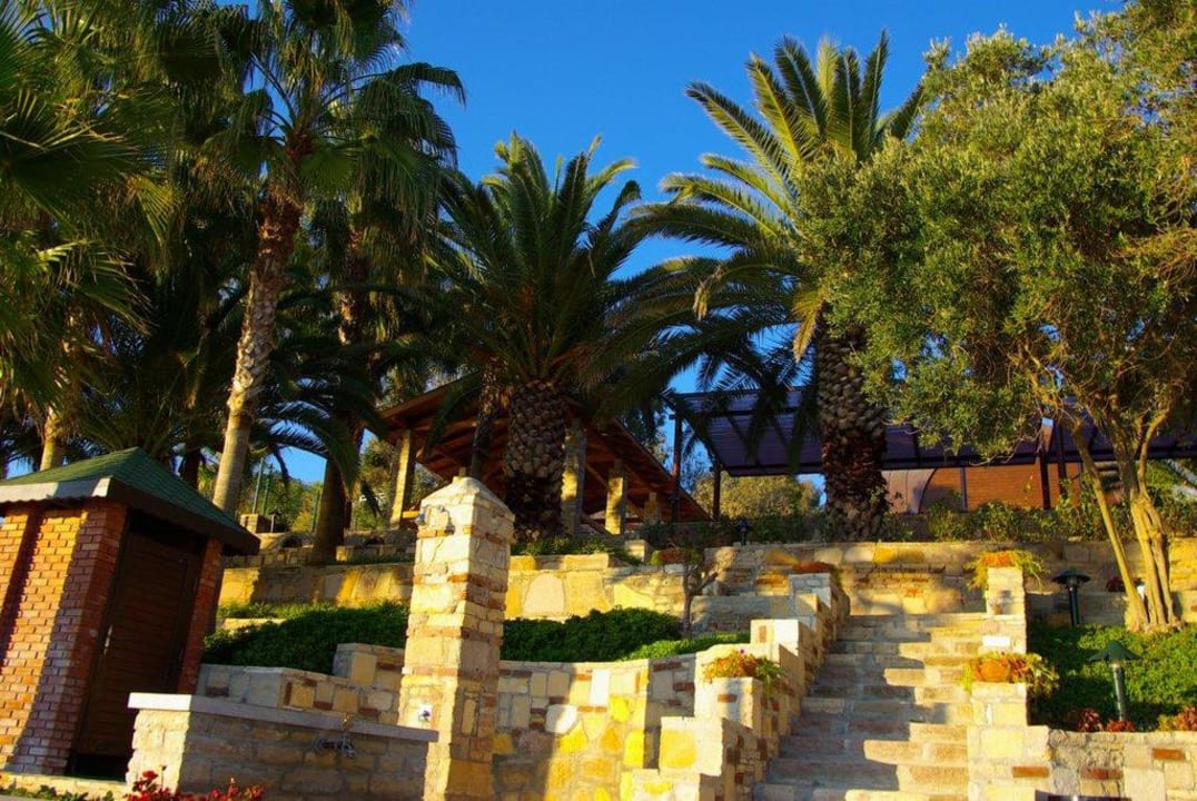 Stand 12.12.2011 Arum Barut Collection
