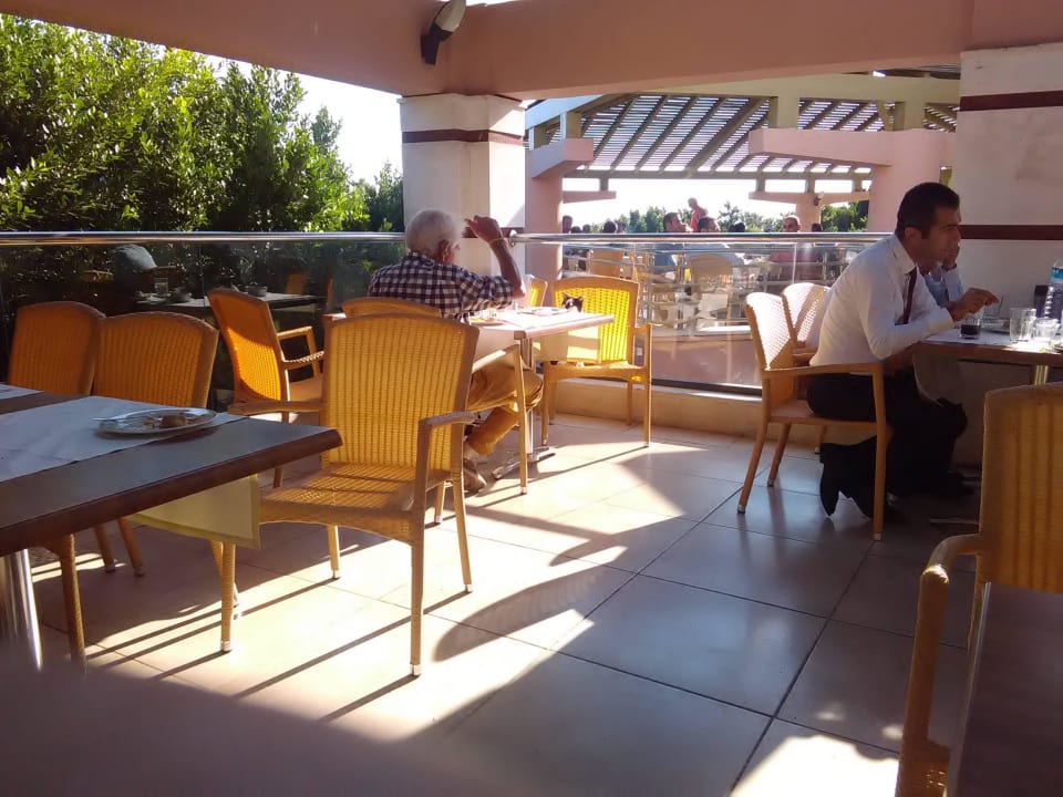 Katze am Tisch Limak Limra Hotel & Resort