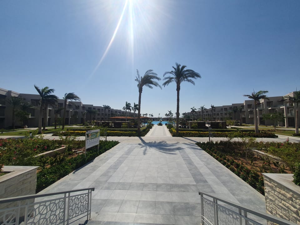 Pool Steigenberger Resort Ras Soma