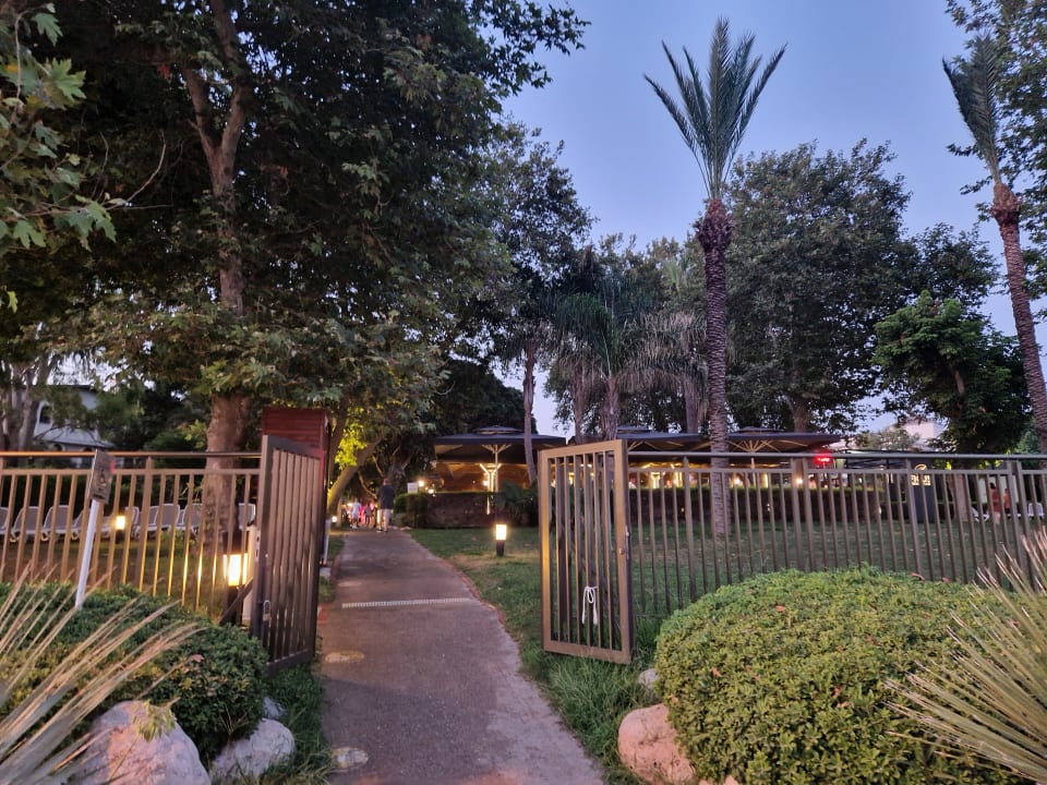 Gartenanlage Side Star Elegance