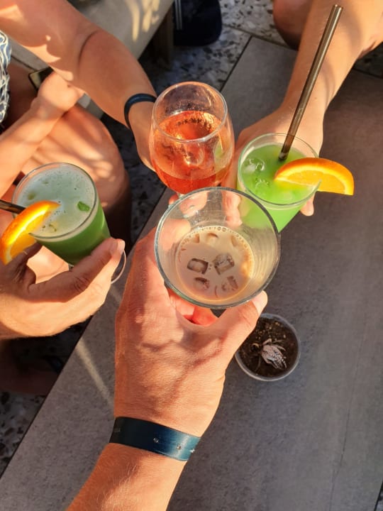 Gastro PALOMA Perissia