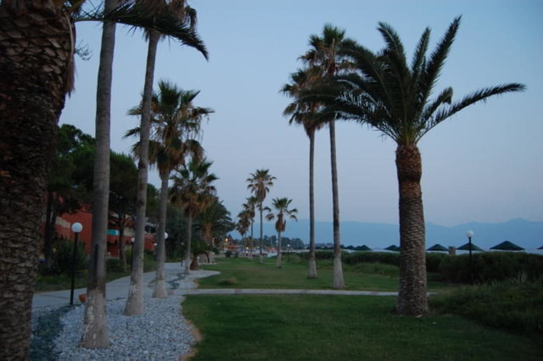 Przy hotelu Ephesia Holiday Beach Club