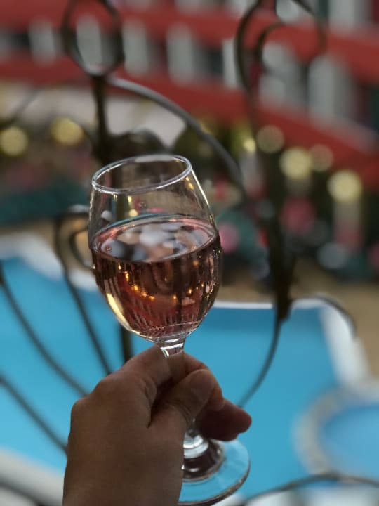 Gastro Hotel Mena Palace