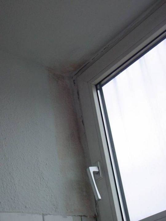 Ecke im WC-Bereich Youthotel Linz