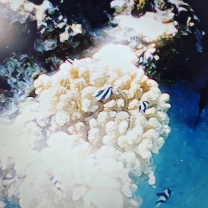 Sport & Freizeit Utopia Beach Club