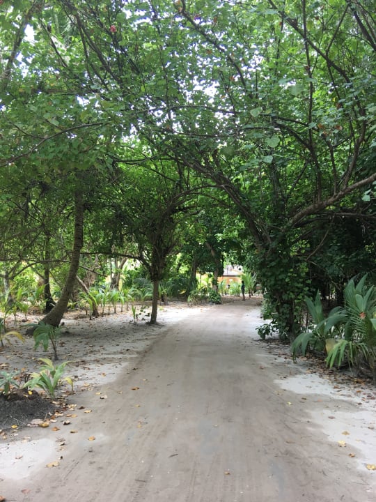 Sonstiges Kuredu Island Resort & Spa