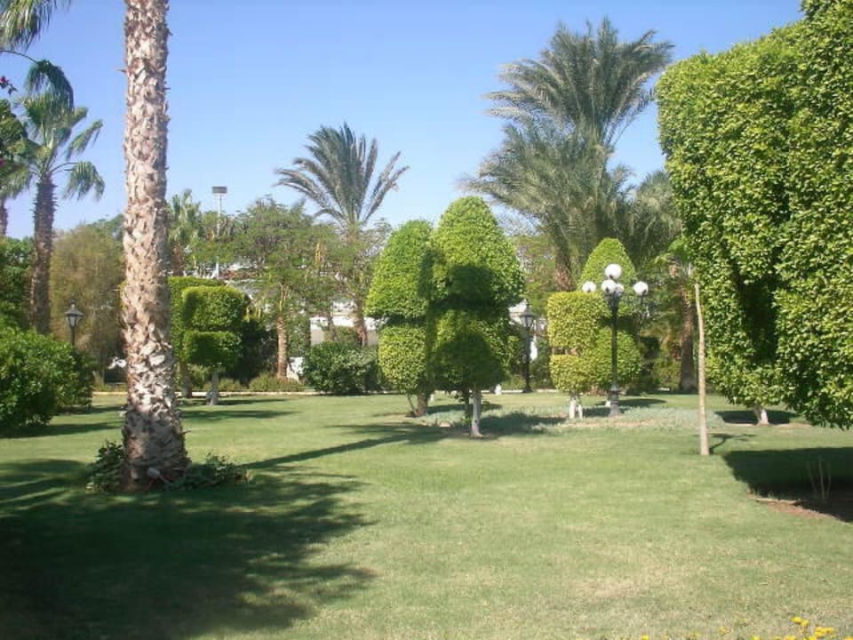 Grünanlage The Grand Hotel Hurghada
