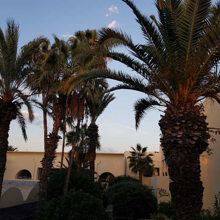 Gartenanlage Hotel Paradis Palace