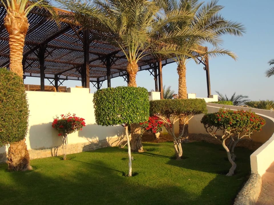 Ogród Three Corners Sea Beach Resort