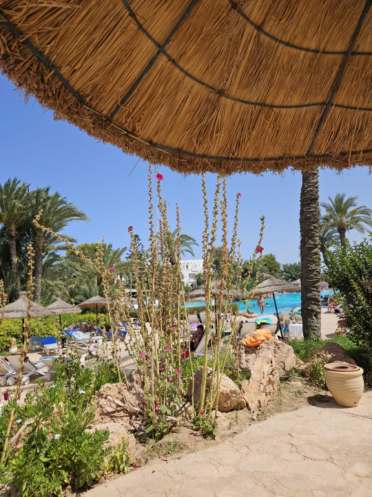 Außenansicht Hotel Djerba Resort