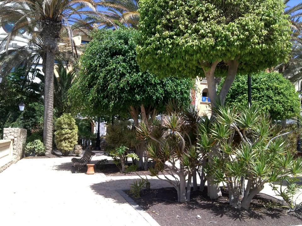 Außenanlage R2 Rio Calma Hotel & Spa & Conference