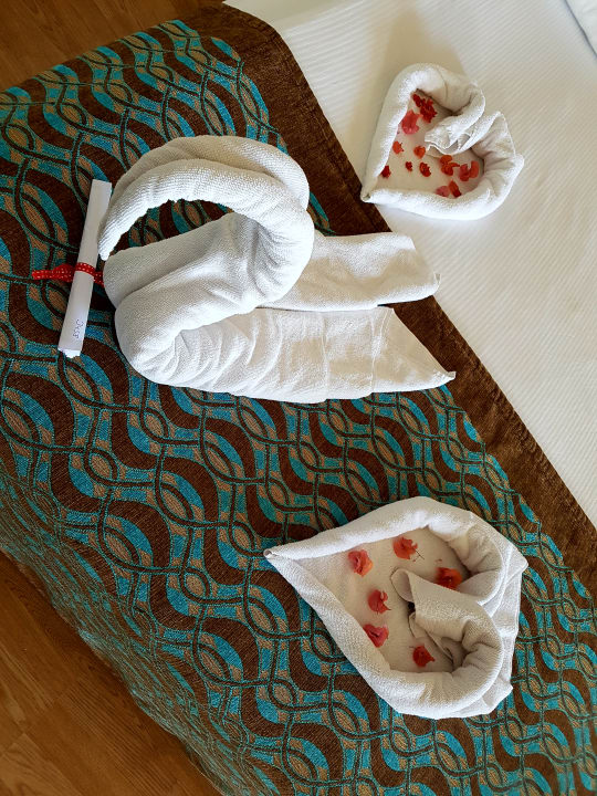 Zimmer Seaden Sea World Resort & Spa