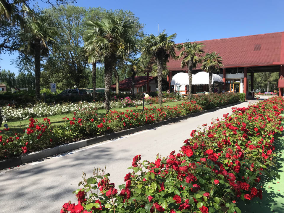 Gartenanlage Isamar Holiday Village