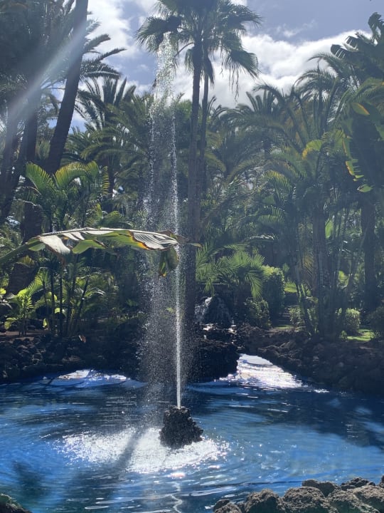 Gartenanlage Hotel Riu Palace Oasis