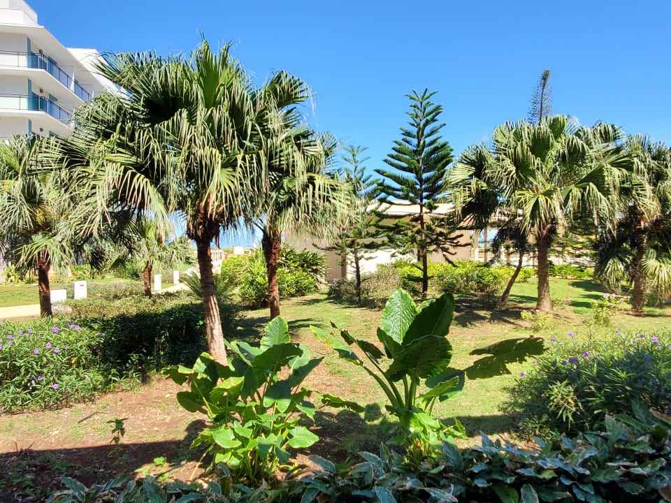 Gartenanlage Meliá Internacional Varadero