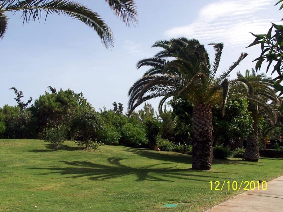 Palmengarten Anissa Beach & Village