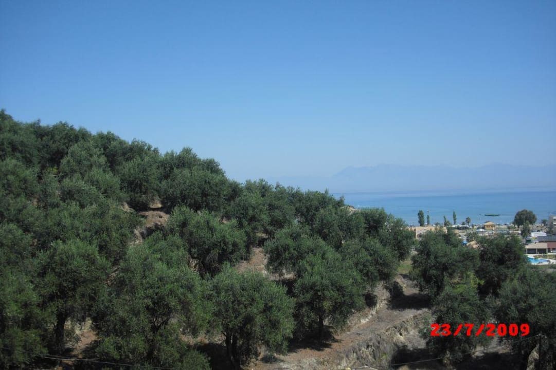 Gaj oliwny w hotelu Panorama Sidari Hotel