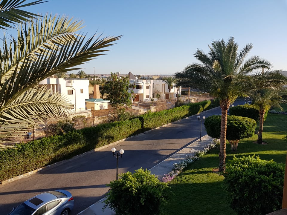 Gartenanlage Desert Rose