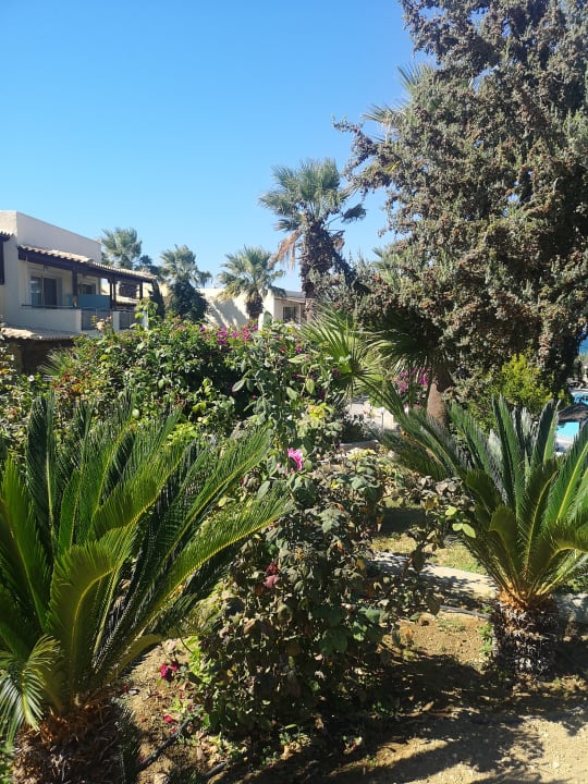 Gartenanlage Hotel Kouros Palace