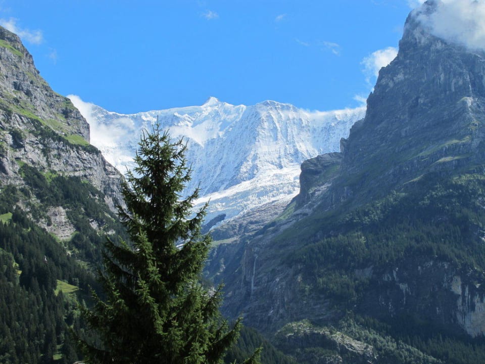 Unterer Grindelwald Gletscher  Hotel Lauberhorn