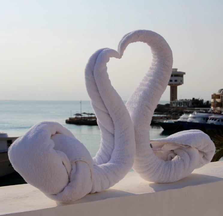Handdoekzwanen Arabella Azur Resort