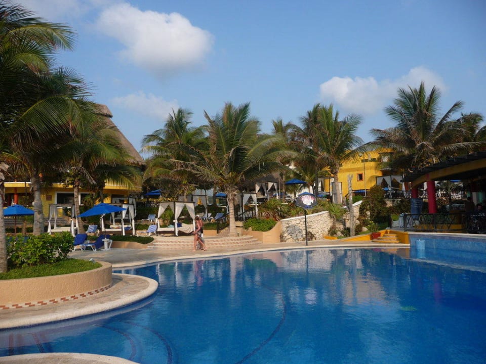 Animationspool The Reef Playacar