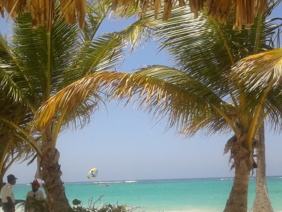 Das Bild spricht für sich Grand Palladium Select Bávaro Resort & Spa