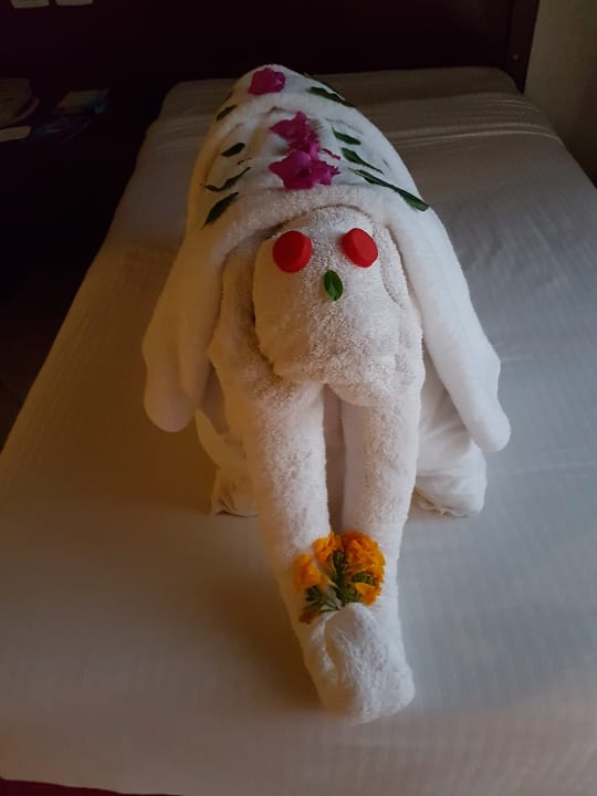 Zimmer Swisstouch Oriental Resort Marsa Alam