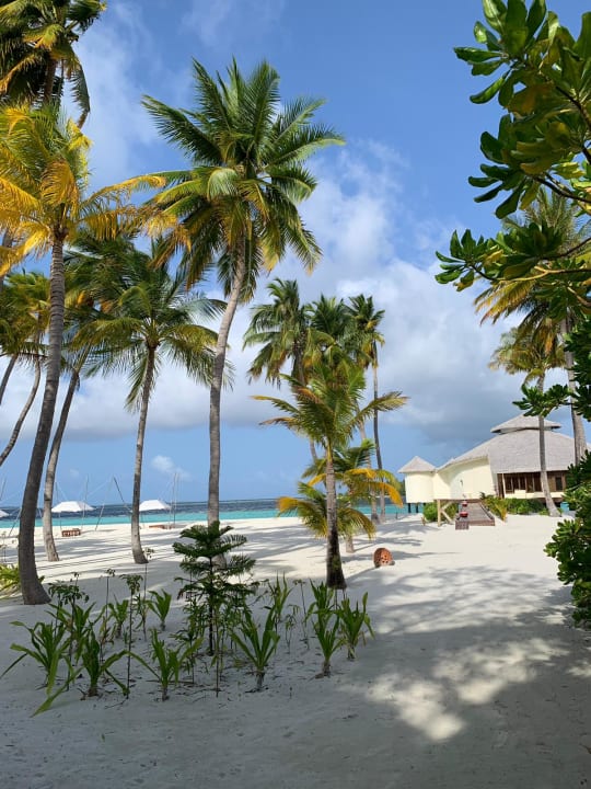 Strand Kihaa Maldives