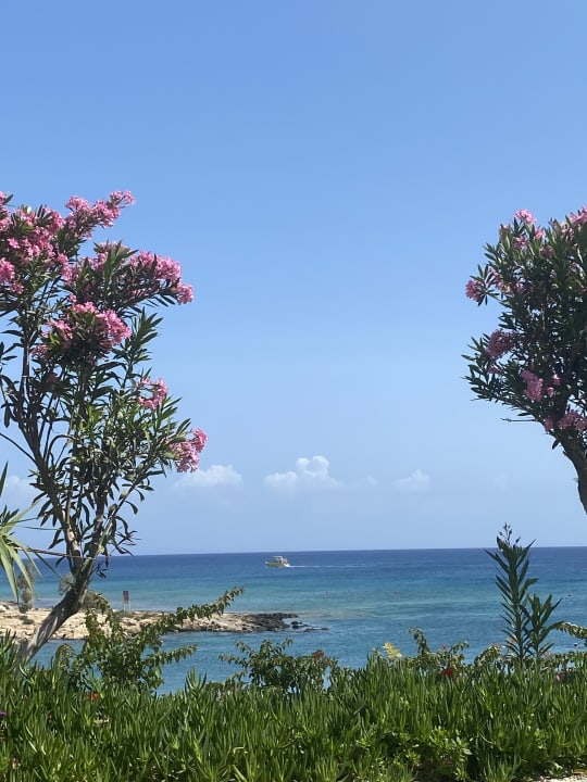 Ausblick Crystal Springs Beach Hotel