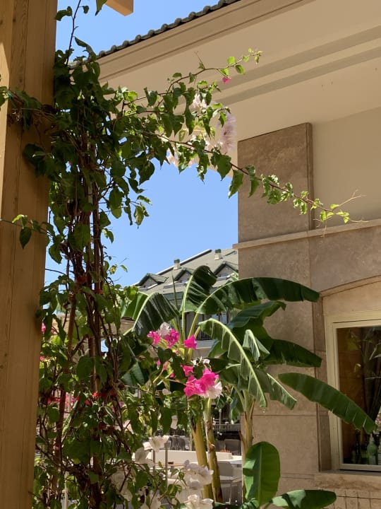 Gartenanlage Can Garden Resort