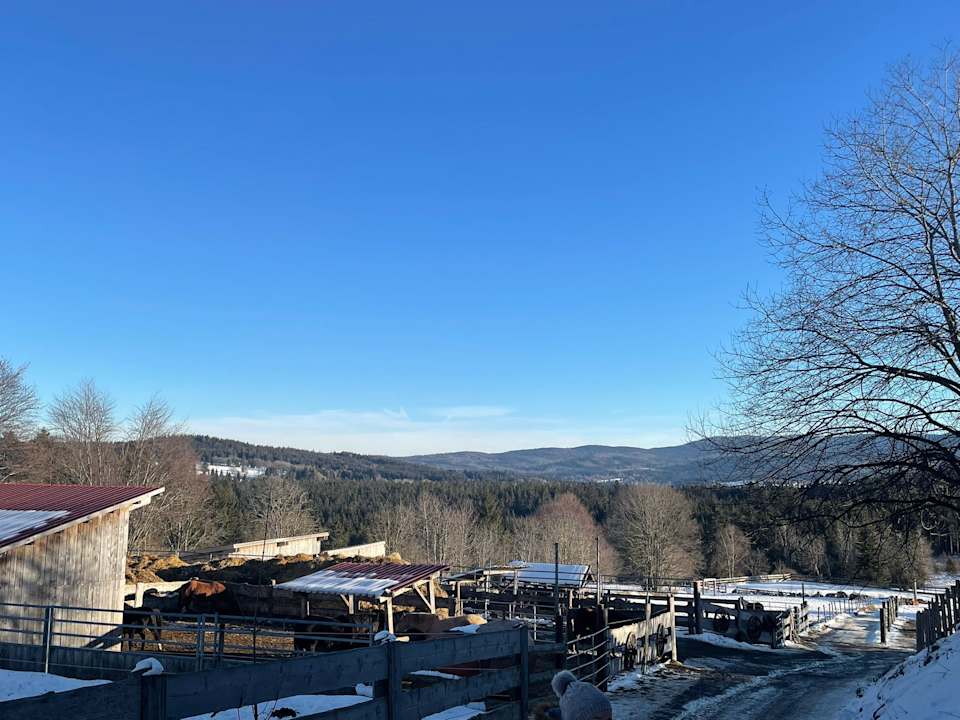 Außenansicht Hotel Zum Matthiasl