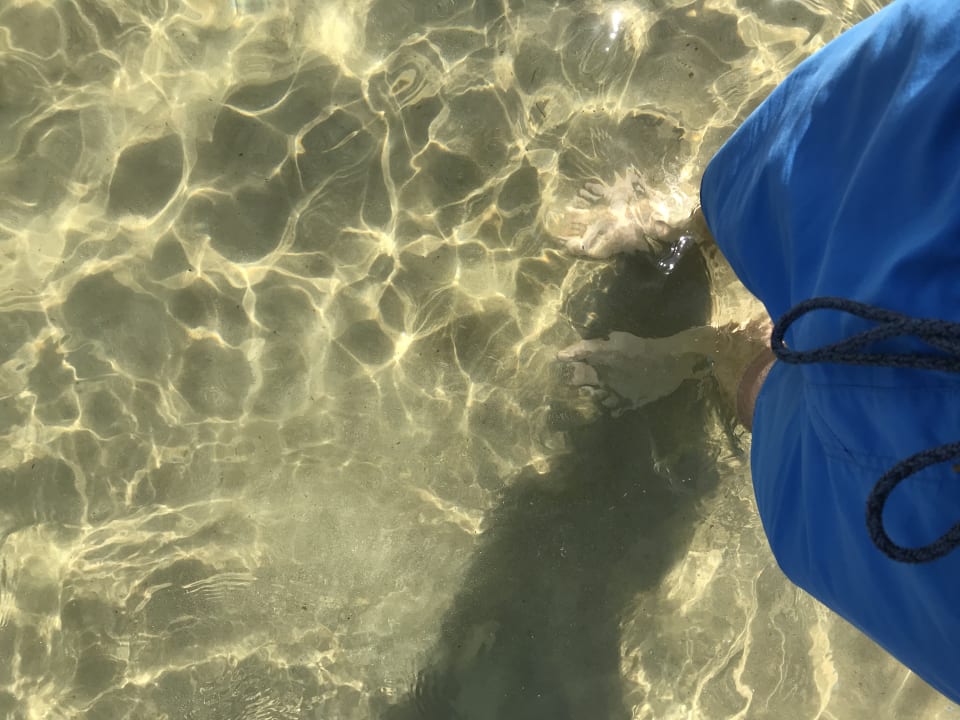 Strand Anemos Luxury Grand Resort