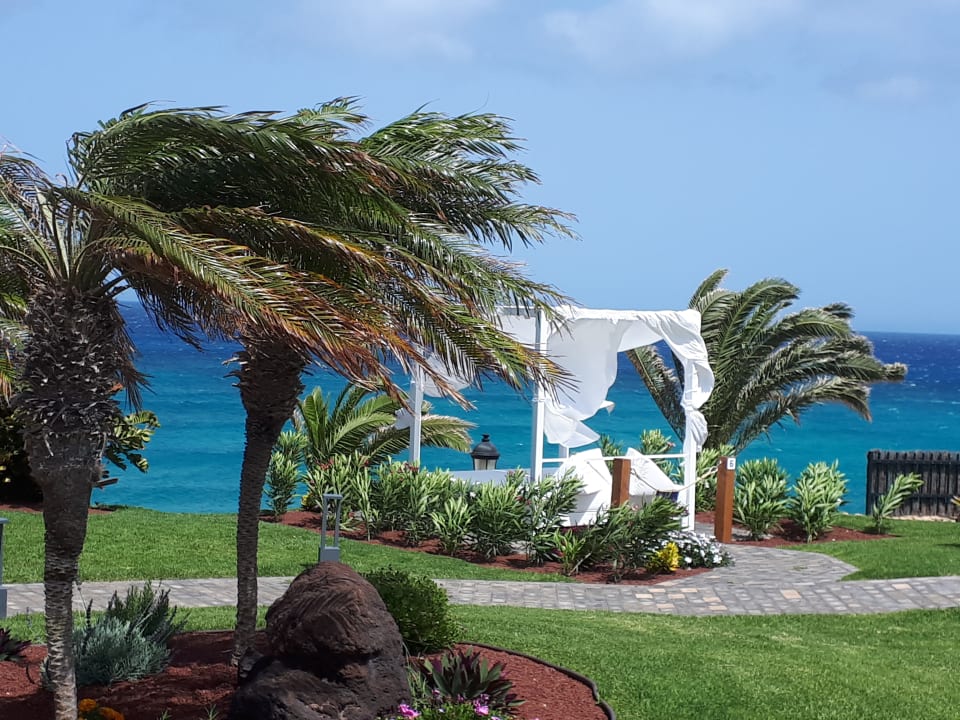 Gartenanlage R2 Pajara Beach