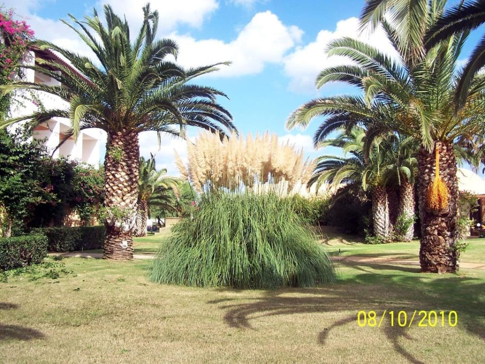 Palmengarten Anissa Beach & Village