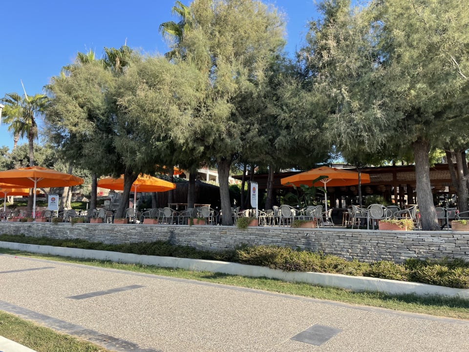 Gartenanlage Arum Barut Collection