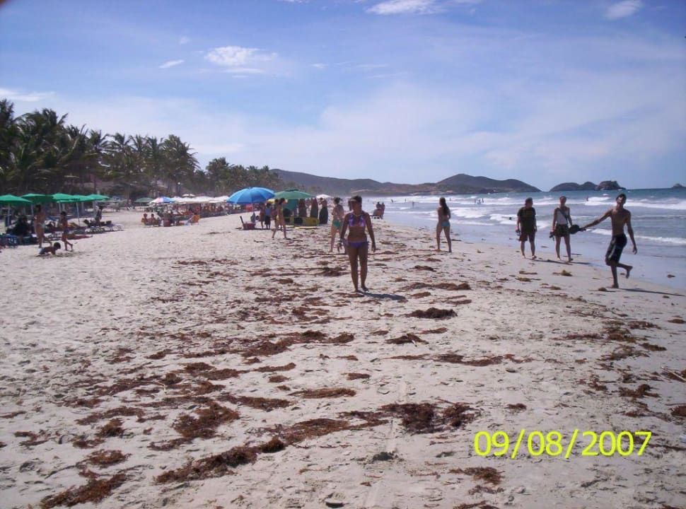 Seegras-Ablagerungen am Strand Hotel Miramar Village