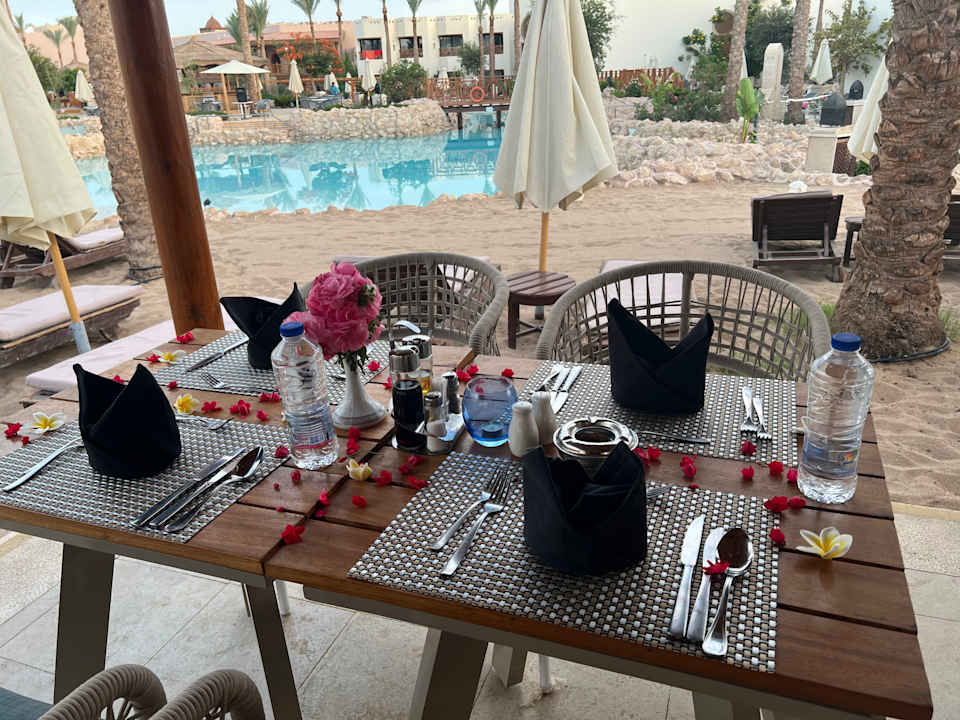 Gastro Ghazala Gardens