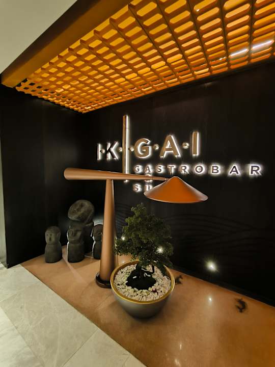 Gastro Arycanda Kirman Premium