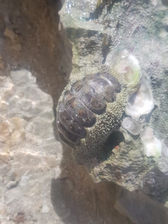 Strand Casa Mare Resort