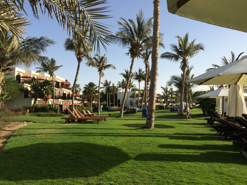 Gartenanlage JA Palm Tree Court