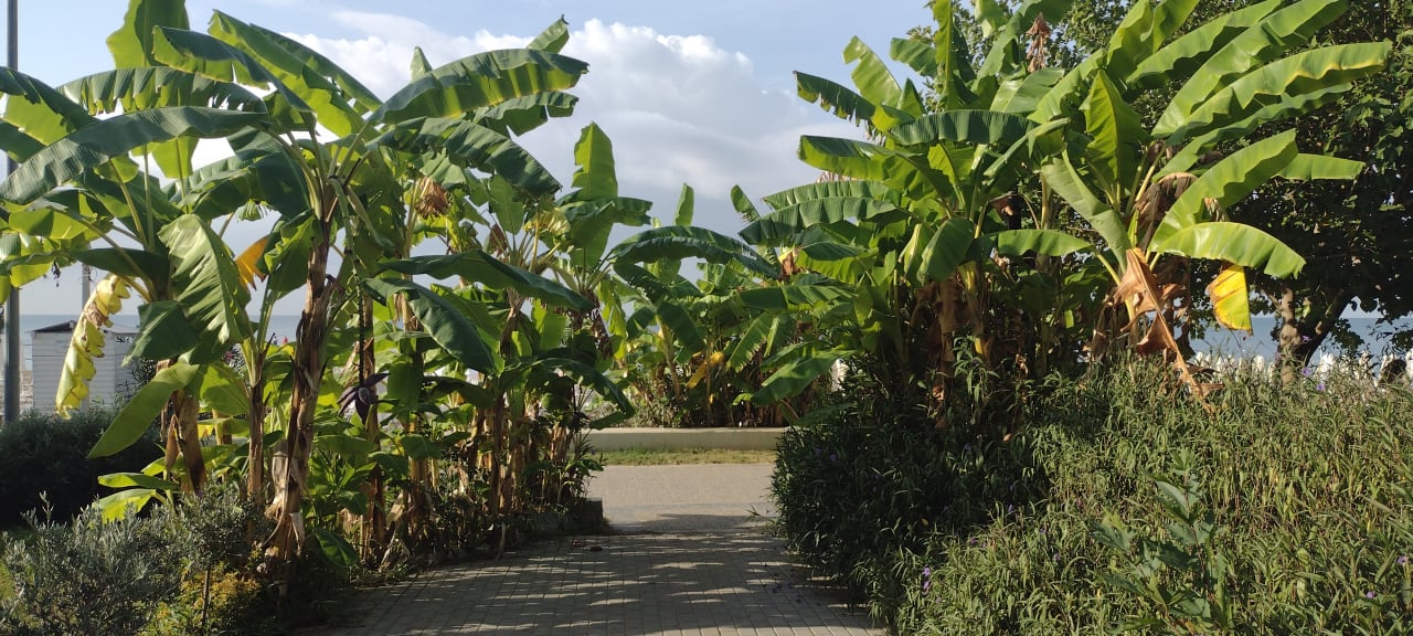 Gartenanlage Merve Sun Hotel & Spa