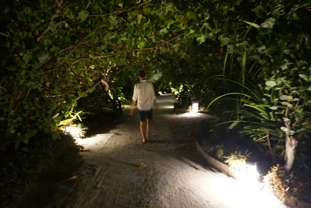 Gartenanlage NH Collection Maldives Havodda Resort